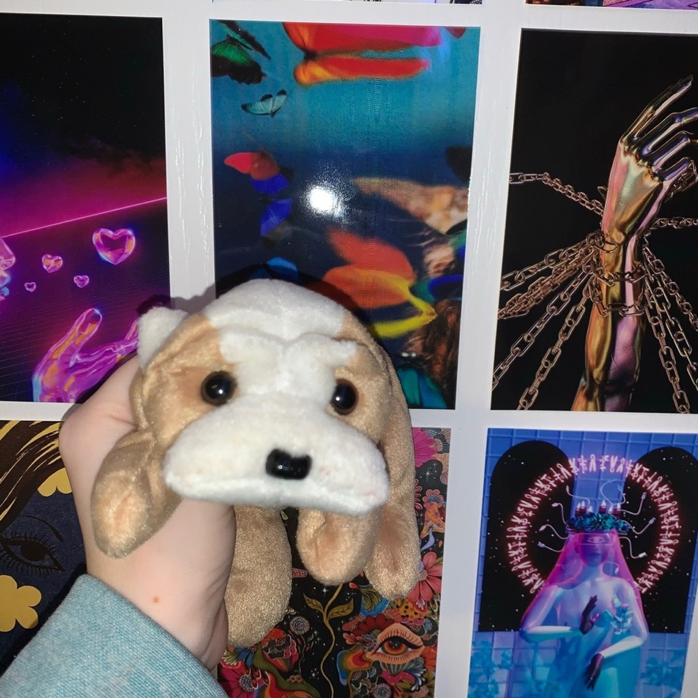 wrinkles 1996 bulldog beanie baby